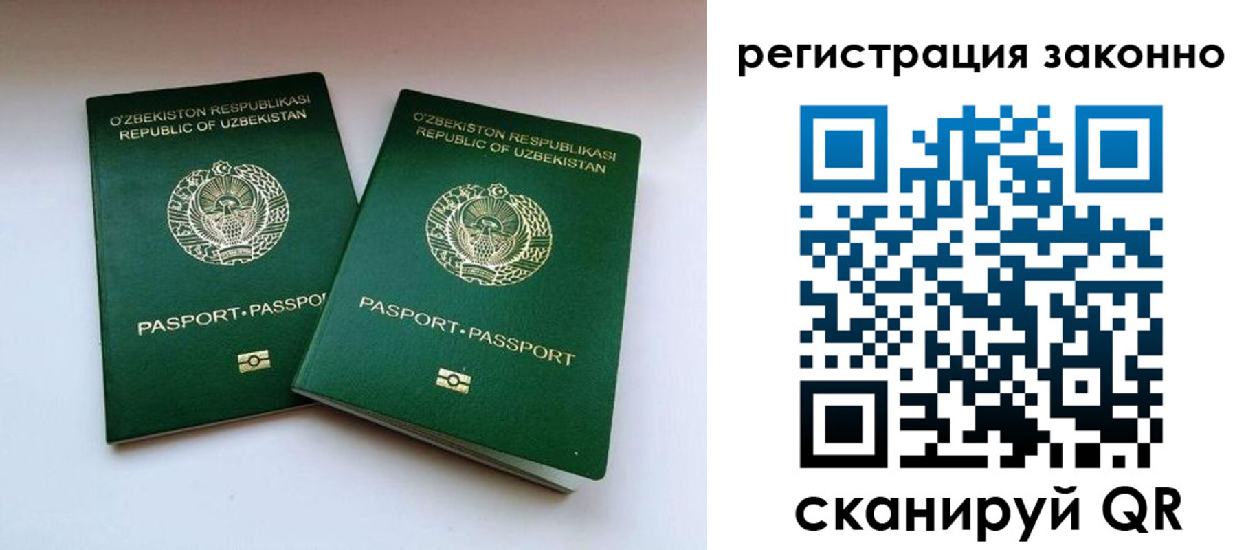 прописка гарантия в Луге